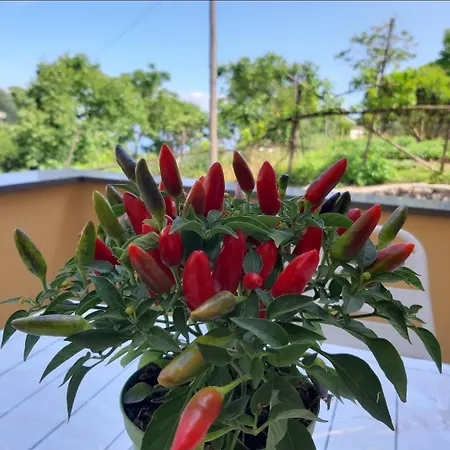 B&B La Culla Di Minerva 4*