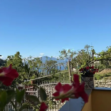 La Culla Di Minerva Panzió Meta